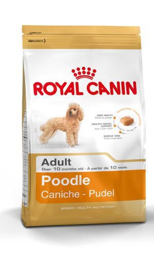 Royal Canin Adulto Poodle