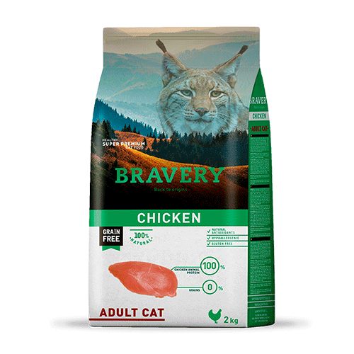 Bravery Chicken Adult Cat