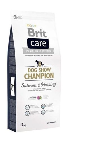 Brit Care Dog Show Champion