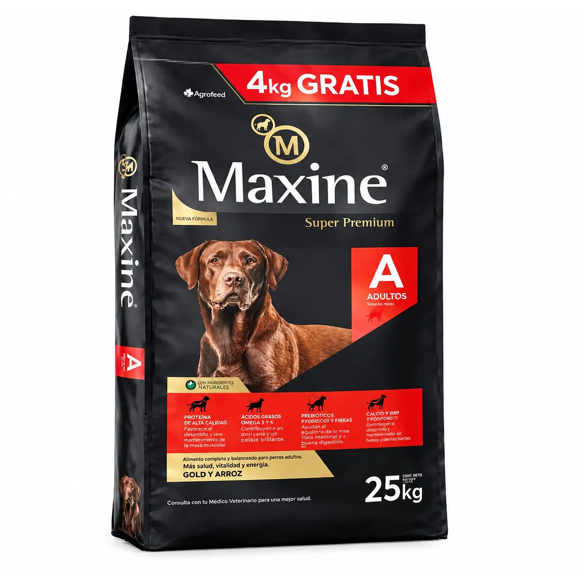 Maxine adulto Maxine Adulto 21 Kg - Imagen 1