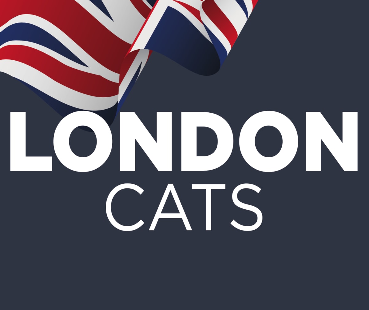 London Cats