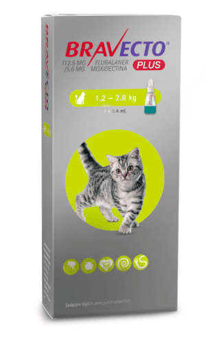 bravecto-plus-gato-1.2-a-2.8-kg.jpg