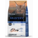 Bravery-cat-herring-senior.jpg