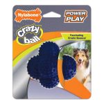 Juguete Nylabone Lanzador de Goma Crazy Ball