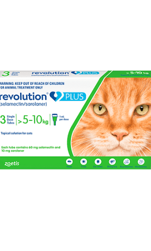 Revolution Plus para Gatos