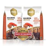 Amity Salmon Adult